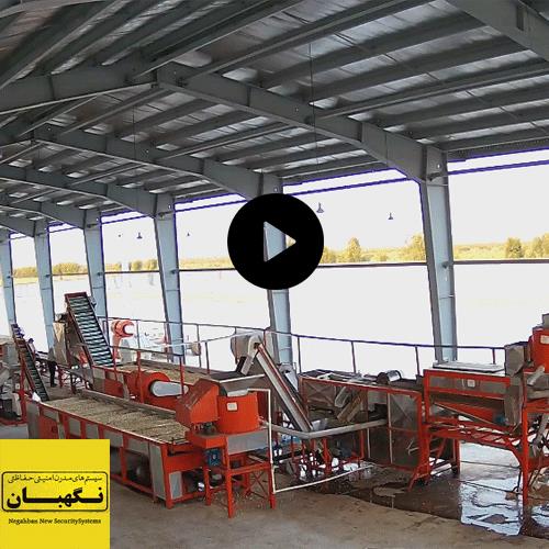 فیلم دوربین مداربسته 4 مگاپیکسلی مزرعه پسته در کاشان فیلم دوربین مداربسته 4 مگاپیکسلی مزرعه پسته در کاشان